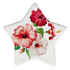 Flawers Star Ornament (two Sides) by goljakoff