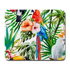 Jungle Large Mousepads by goljakoff