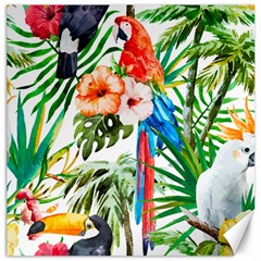 Jungle Canvas 12  X 12  by goljakoff