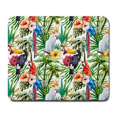 Jungle Birds Large Mousepads by goljakoff