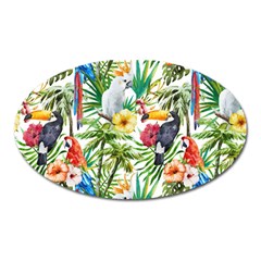 Jungle Birds Oval Magnet by goljakoff