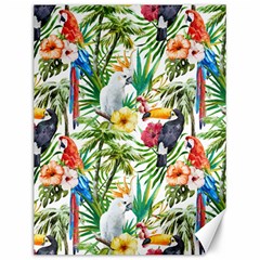 Jungle Birds Canvas 12  X 16  by goljakoff