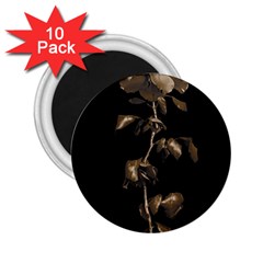 Dark Rose Poster 2 25  Magnets (10 Pack)  by dflcprintsclothing