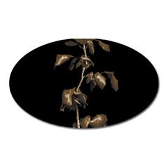 Dark Rose Poster Oval Magnet