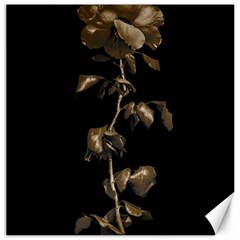 Dark Rose Poster Canvas 16  X 16  by dflcprintsclothing