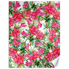 Pink Flowers Canvas 18  X 24  by goljakoff