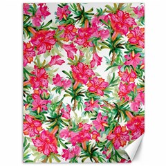 Pink Flowers Canvas 36  X 48  by goljakoff