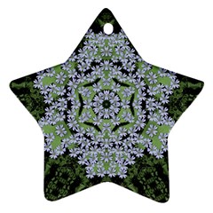 Calm In The Flower Forest Of Tranquility Ornate Mandala Star Ornament (two Sides) by pepitasart