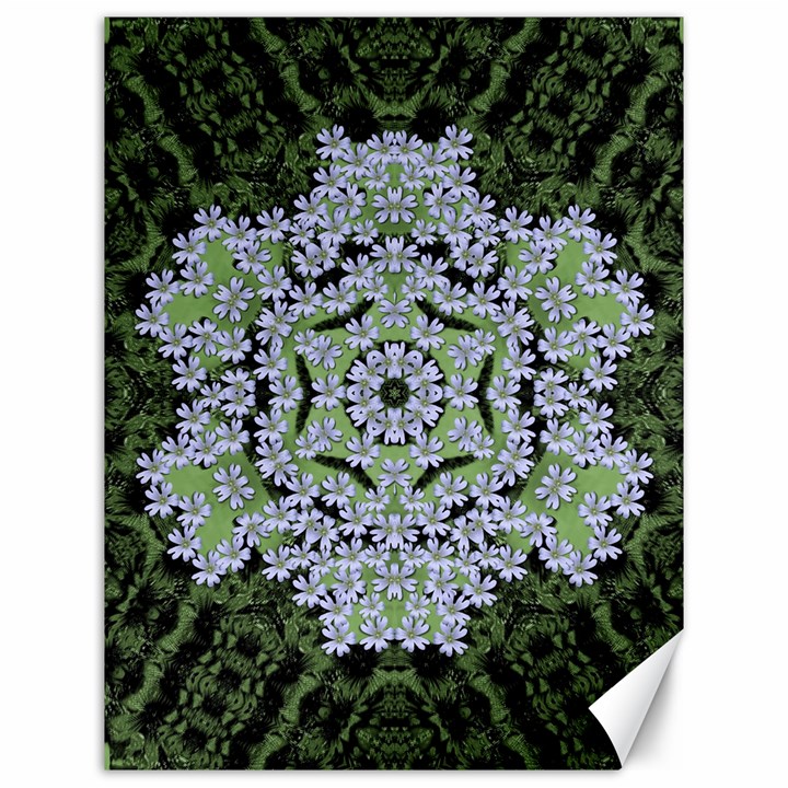 Calm In The Flower Forest Of Tranquility Ornate Mandala Canvas 12  x 16 