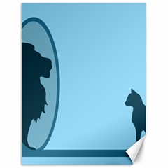 Cat Mirror Lion Canvas 12  X 16 