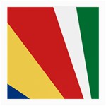 Seychelles-flag12 Medium Glasses Cloth Front