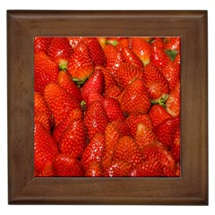 Colorful Strawberries At Market Display 1 Framed Tile