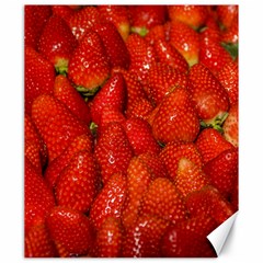 Colorful Strawberries At Market Display 1 Canvas 20  X 24  by dflcprintsclothing