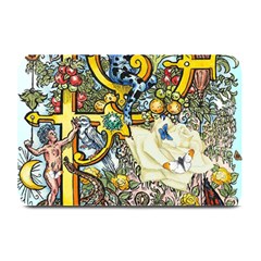 The Illustrated Alphabet - P - By Larenard Plate Mats by LaRenard