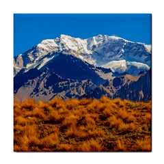 Aconcagua Park Landscape, Mendoza, Argentina Tile Coaster by dflcprintsclothing