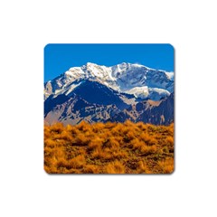 Aconcagua Park Landscape, Mendoza, Argentina Square Magnet by dflcprintsclothing