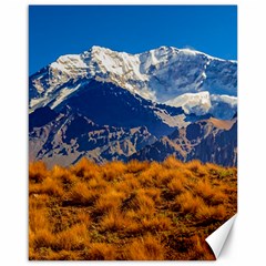 Aconcagua Park Landscape, Mendoza, Argentina Canvas 16  X 20  by dflcprintsclothing