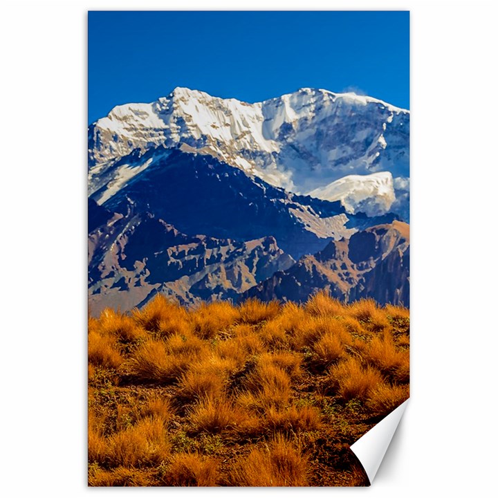 Aconcagua Park Landscape, Mendoza, Argentina Canvas 20  x 30 