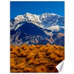 Aconcagua Park Landscape, Mendoza, Argentina Canvas 36  x 48  35.26 x46.15  Canvas - 1