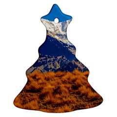 Aconcagua Park Landscape, Mendoza, Argentina Christmas Tree Ornament (two Sides)