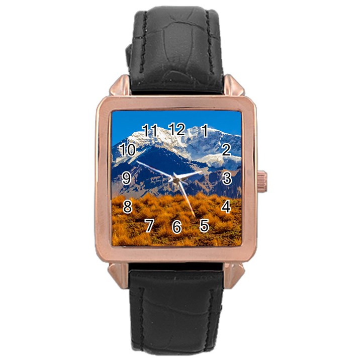 Aconcagua Park Landscape, Mendoza, Argentina Rose Gold Leather Watch 