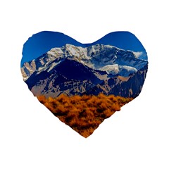 Aconcagua Park Landscape, Mendoza, Argentina Standard 16  Premium Flano Heart Shape Cushions by dflcprintsclothing