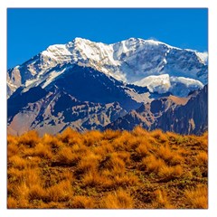 Aconcagua Park Landscape, Mendoza, Argentina Large Satin Scarf (square) by dflcprintsclothing