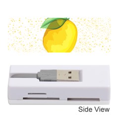 Illustration Sgraphic Lime Orange Memory Card Reader (stick)