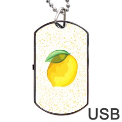 Illustration Sgraphic Lime Orange Dog Tag Usb Flash (one Side)