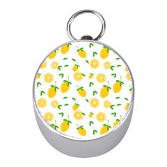 Illustrations Lemon Citrus Fruit Yellow Mini Silver Compasses