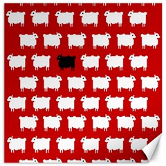 Black Sheep Canvas 12  X 12  by NoHang