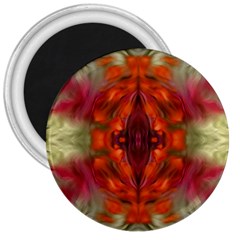 Landscape In A Colorful Structural Habitat Ornate 3  Magnets by pepitasart