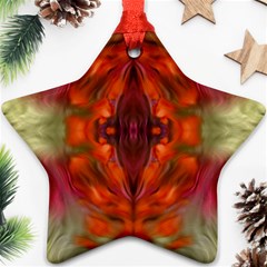 Landscape In A Colorful Structural Habitat Ornate Star Ornament (two Sides) by pepitasart