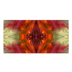 Landscape In A Colorful Structural Habitat Ornate Satin Shawl by pepitasart