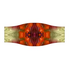 Landscape In A Colorful Structural Habitat Ornate Stretchable Headband by pepitasart