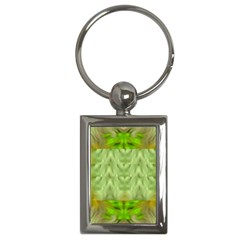 Landscape In A Green Structural Habitat Ornate Key Chain (rectangle) by pepitasart