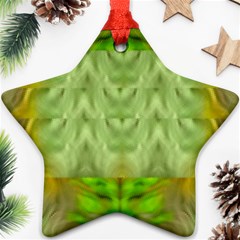 Landscape In A Green Structural Habitat Ornate Star Ornament (two Sides) by pepitasart