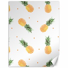 Pineapple Pattern Canvas 12  X 16  by goljakoff