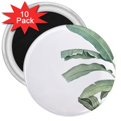 Palm Leaves 3  Magnets (10 Pack)  by goljakoff