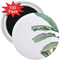 Palm Leaves 3  Magnets (100 Pack) by goljakoff