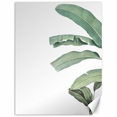 Palm Leaves Canvas 12  X 16  by goljakoff