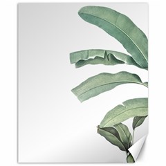 Palm Leaves Canvas 11  X 14  by goljakoff