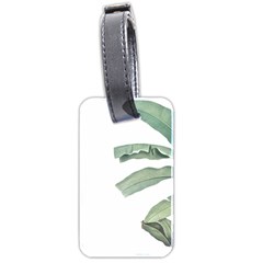 Palm Leaves Luggage Tag (two Sides) by goljakoff