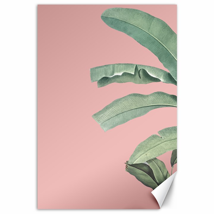 Palm leaf on pink Canvas 12  x 18 