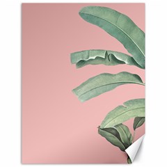 Palm Leaf On Pink Canvas 18  X 24  by goljakoff