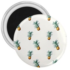 Tropical pineapples 3  Magnets