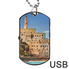 Old Jaffa Cityscape, Israel Dog Tag Usb Flash (one Side) by dflcprintsclothing