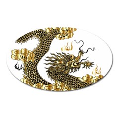 Dragon Animals Monster Oval Magnet