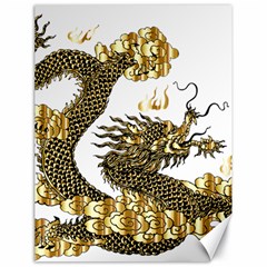 Dragon Animals Monster Canvas 18  x 24 