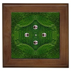 One Island In A Safe Environment Of Eternity Green Framed Tile by pepitasart